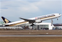 Miguel Alia - Noisy Spotters. Click to see full size photo