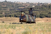 Csar Prieto. Click to see full size photo