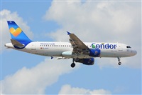 Miguel A. gueda Rguez.  (CANARY ISLANDS SPOTTING). Click to see full size photo