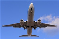 Miguel A. gueda Rguez.  (CANARY ISLANDS SPOTTING). Click to see full size photo