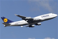 Rubn Gil - Noisy Spotters. Click to see full size photo