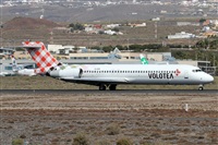 ©Alfonso Solís - Asociación Canary Islands Spotting. Click to see full size photo ©Alfonso Solís - Asociación Canary Islands Spotting. Click to see full size photo