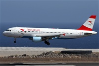 Alfonso Sols - Asociacin Canary Islands Spotting. Click to see full size photo