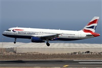 Alfonso Sols - Asociacin Canary Islands Spotting. Click to see full size photo