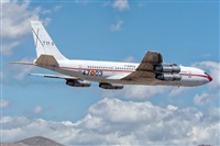 ©Adolfo Bento - Gran Canaria Spotters. Click to see full size photo ©Adolfo Bento - Gran Canaria Spotters. Click to see full size photo