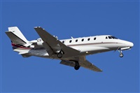 Saimon J Rodriguez   -   Canary Islands Spotting. Click to see full size photo