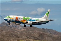 Javier de la Cruz - CANARY ISLANDS SPOTTING. Click to see full size photo