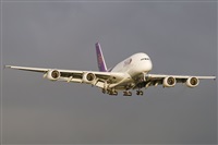 Rubn Gil - Noisy Spotters. Click to see full size photo