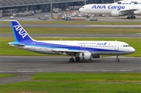 Miguel A. gueda Rguez.  (CANARY ISLANDS SPOTTING). Click to see full size photo