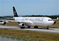 ©Alejandro H.L - Gran Canaria Spotters. Click to see full size photo ©Alejandro H.L - Gran Canaria Spotters. Click to see full size photo