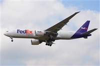 Miguel A. gueda Rguez.  (CANARY ISLANDS SPOTTING). Click to see full size photo