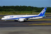 Miguel A. gueda Rguez.  (CANARY ISLANDS SPOTTING). Click to see full size photo