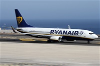 Alfonso Sols - Asociacin Canary Islands Spotting. Haz click para ampliar