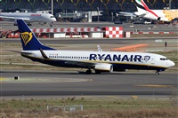 Alfonso Sols - Asociacin Canary Islands Spotting. Haz click para ampliar