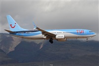 ©J. Victor Vega-Gran Canaria Spotters. Click to see full size photo ©J. Victor Vega-Gran Canaria Spotters. Click to see full size photo