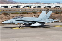 Florencio Martn Melin - Lanzarote Spotters. Click to see full size photo