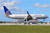 Miguel A. gueda Rguez.  (CANARY ISLANDS SPOTTING). Click to see full size photo
