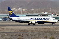 Alfonso Sols - Asociacin Canary Islands Spotting. Click to see full size photo