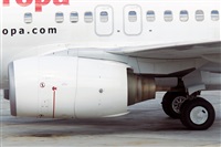 Nacho Rodriguez - Canary Islands Spotting. Click to see full size photo