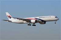 Miguel A. gueda Rguez.  (CANARY ISLANDS SPOTTING). Click to see full size photo