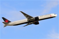 Miguel A. gueda Rguez.  (CANARY ISLANDS SPOTTING). Click to see full size photo