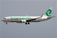 ©Alfonso Solís - Asociación Canary Islands Spotting. Click to see full size photo ©Alfonso Solís - Asociación Canary Islands Spotting. Click to see full size photo