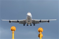 Miguel A. gueda Rguez.  (CANARY ISLANDS SPOTTING). Haz click para ampliar