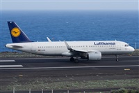 ©Luis Rguez - La Palma Spotting. Click to see full size photo ©Luis Rguez - La Palma Spotting. Click to see full size photo