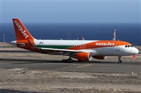 ©Alfonso Solís - Asociación Canary Islands Spotting. Click to see full size photo ©Alfonso Solís - Asociación Canary Islands Spotting. Click to see full size photo