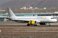 Alfonso Sols - Asociacin Canary Islands Spotting. Haz click para ampliar