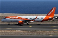 Alfonso Sols - Asociacin Canary Islands Spotting. Haz click para ampliar