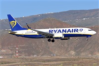 Miguel A. gueda Rguez.  (CANARY ISLANDS SPOTTING). Click to see full size photo