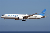 ©Alfonso Solís - Asociación Canary Islands Spotting. Click to see full size photo ©Alfonso Solís - Asociación Canary Islands Spotting. Click to see full size photo