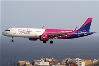 ©Alfonso Solís - Asociación Canary Islands Spotting. Click to see full size photo ©Alfonso Solís - Asociación Canary Islands Spotting. Click to see full size photo