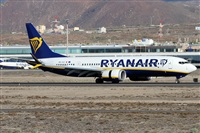 ©Alfonso Solís - Asociación Canary Islands Spotting. Click to see full size photo ©Alfonso Solís - Asociación Canary Islands Spotting. Click to see full size photo