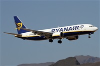 Alfonso Sols - Asociacin Canary Islands Spotting. Haz click para ampliar