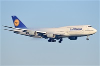 Miguel A. gueda Rguez.  (CANARY ISLANDS SPOTTING). Click to see full size photo