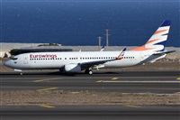 ©Alfonso Solís - Asociación Canary Islands Spotting. Click to see full size photo ©Alfonso Solís - Asociación Canary Islands Spotting. Click to see full size photo