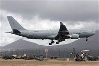 Adrin Alonso Lemes - Lanzarote Spotters. Haz click para ampliar