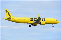 Miguel A. gueda Rguez.  (CANARY ISLANDS SPOTTING). Click to see full size photo
