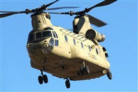 �Manuel Fernandez. Click to see full size photo