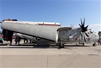 ©Javier Rodríguez. Click to see full size photo ©Javier Rodríguez. Click to see full size photo