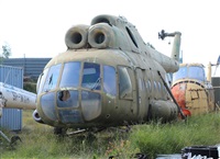 ©Daniel Ferro. Click to see full size photo ©Daniel Ferro. Click to see full size photo