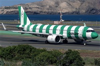 �Adolfo Bento - Gran Canaria Spotters. Click to see full size photo