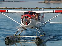Melvin Pereira - Iberian Spotter. Click to see full size photo