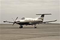 Javier de la Cruz - CANARY ISLANDS SPOTTING. Click to see full size photo