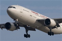 Jos Miguel Bernases - Noisy Spotters. Click to see full size photo