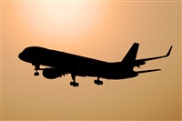 Javier de la Cruz - CANARY ISLANDS SPOTTING. Click to see full size photo