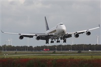 Rodrigo Carvalho - Noisy Spotters. Click to see full size photo