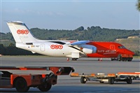 Miguel A. gueda Rguez.  (CANARY ISLANDS SPOTTING). Click to see full size photo